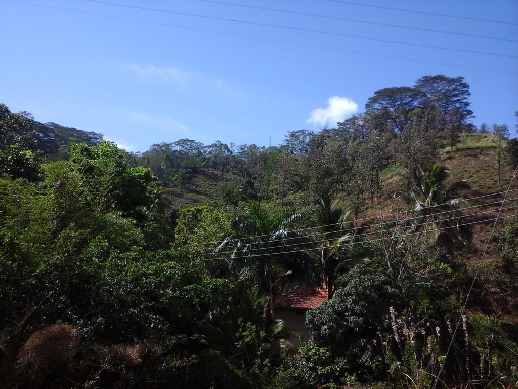 Nature'S Nest Kandy Bagian luar foto